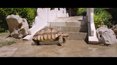 老大不小剧照的剧照