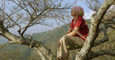 山猪温泉剧照的剧照