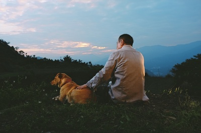 山猪温泉剧照的剧照