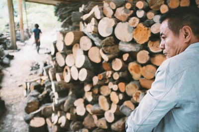 山猪温泉剧照的剧照