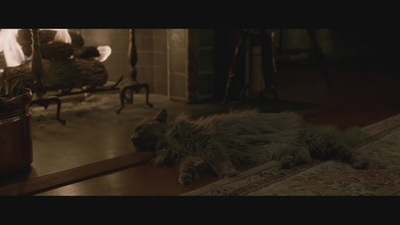 捉迷藏剧照的剧照