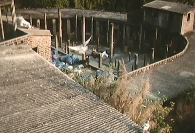 喋血风云剧照的剧照