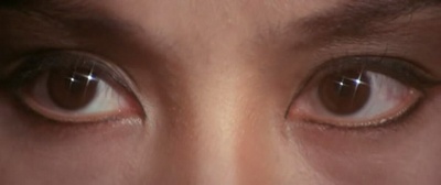 南北狮王剧照的剧照