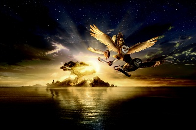 猫头鹰王国：守卫者传奇剧照的剧照