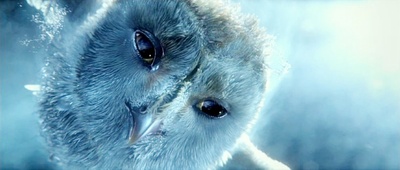 猫头鹰王国：守卫者传奇剧照的剧照