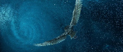 猫头鹰王国：守卫者传奇剧照的剧照