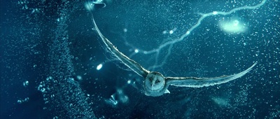 猫头鹰王国：守卫者传奇剧照的剧照