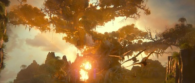 猫头鹰王国：守卫者传奇剧照的剧照