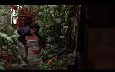 中国匣剧照的剧照