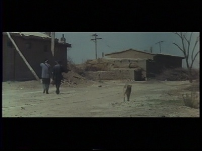 老人与狗剧照的剧照