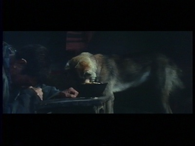 老人与狗剧照的剧照