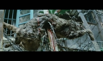 第一类型危险剧照的剧照