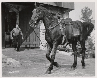 四海一家剧照的剧照