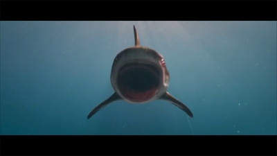 深海狂鲨3剧照的剧照