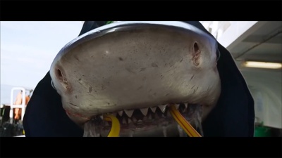 深海狂鲨3剧照的剧照