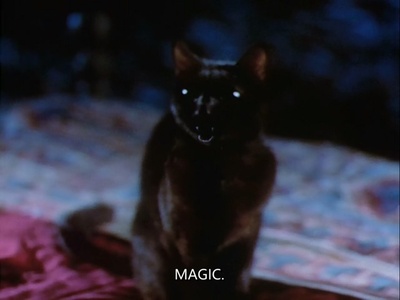 小女巫萨布琳娜(电影)剧照的剧照