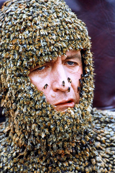 芭乐鸳鸯剧照的剧照