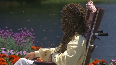 芭乐鸳鸯剧照的剧照