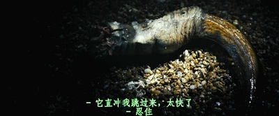 魔窟剧照的剧照