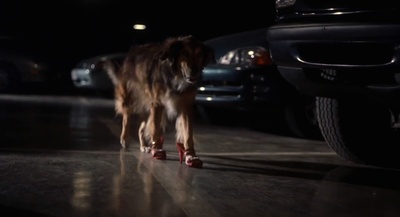 包芬格计划剧照的剧照