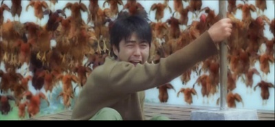 幽灵鬼屋剧照的剧照