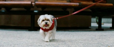 高楼大劫案剧照的剧照