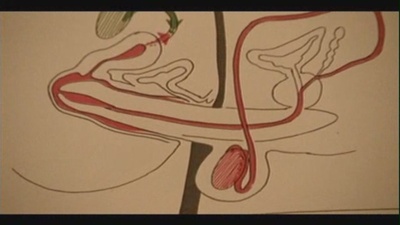 在一起剧照的剧照