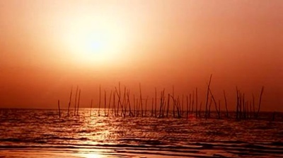 浮城记剧照的剧照