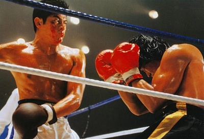 浪漫风暴剧照的剧照