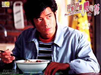 芭啦芭啦樱之花剧照的剧照