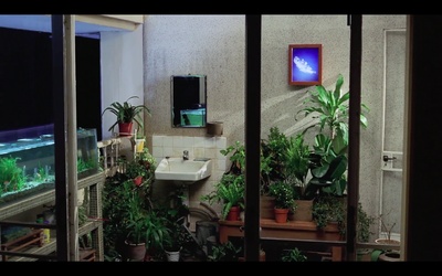 安娜玛德莲娜剧照的剧照