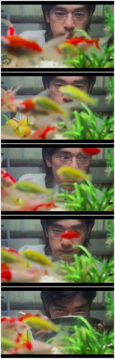 安娜玛德莲娜剧照的剧照