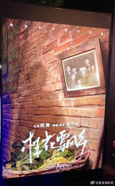 桂花飘乡剧照的剧照