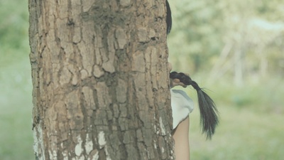 麻花辫剧照的剧照