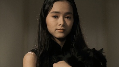 卫斯理之老猫剧照的剧照