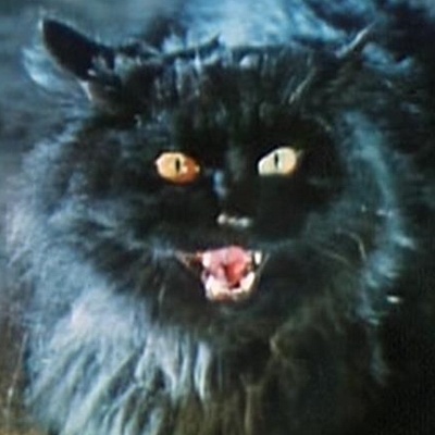 卫斯理之老猫剧照的剧照