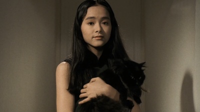 卫斯理之老猫剧照的剧照