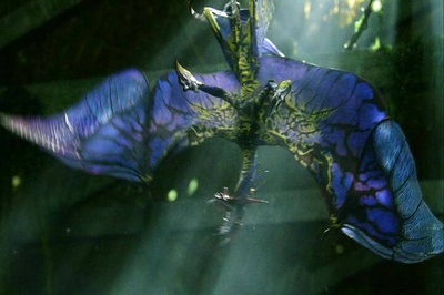 阿凡达：创建潘多拉世界剧照的剧照