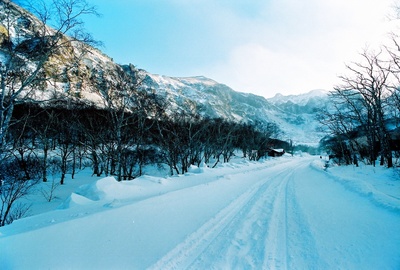 长白山剧照的剧照