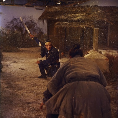 独臂刀王剧照的剧照