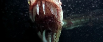 深海圆疑剧照的剧照