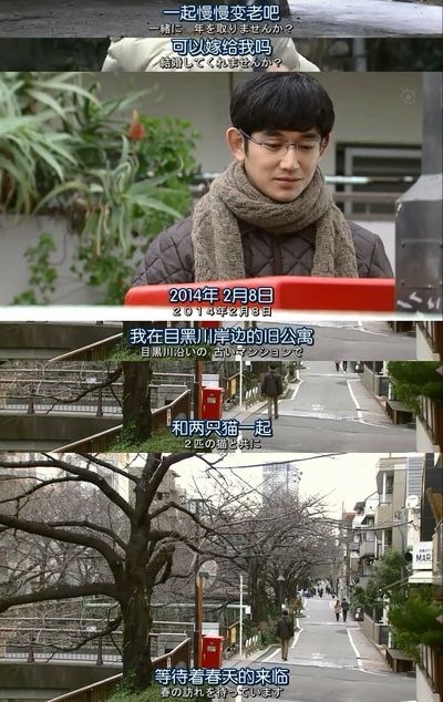 最完美的离婚 2014特别篇剧照的剧照