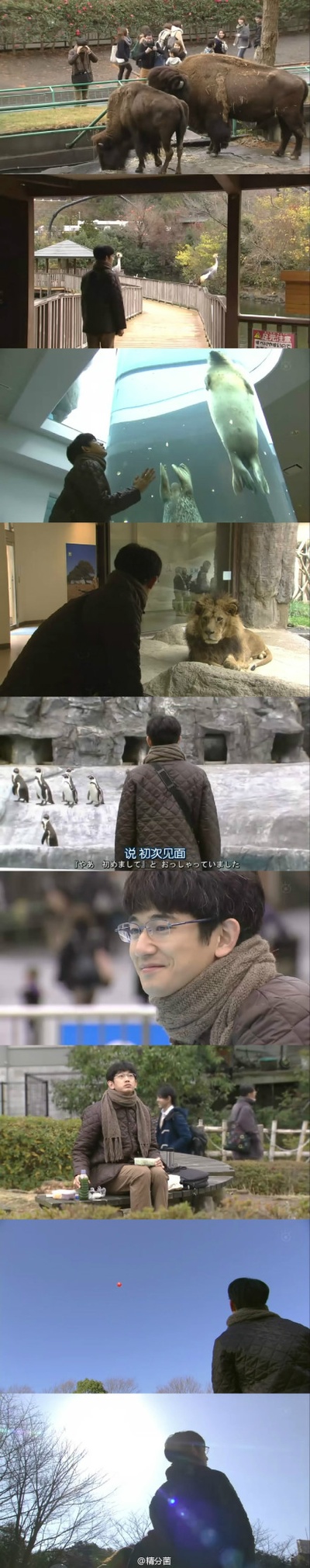 最完美的离婚 2014特别篇剧照的剧照