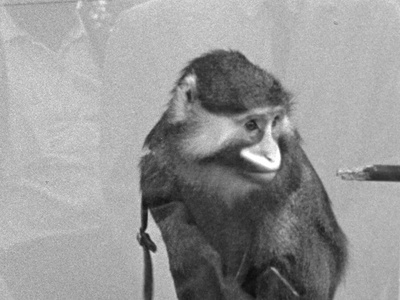 21-87剧照的剧照