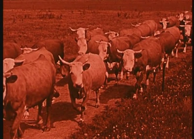 纸人头剧照的剧照