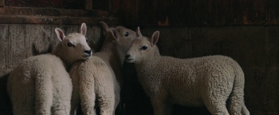 吞咽剧照的剧照