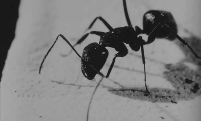 死亡密码剧照的剧照