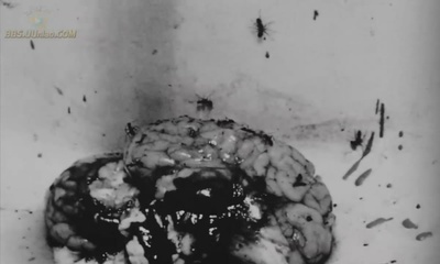 死亡密码剧照的剧照