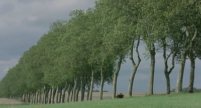 花落花开剧照的剧照