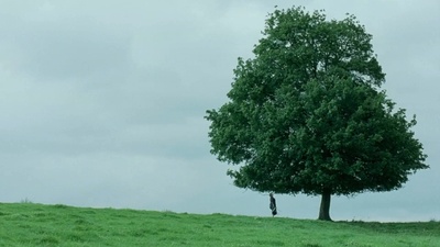 花落花开剧照的剧照